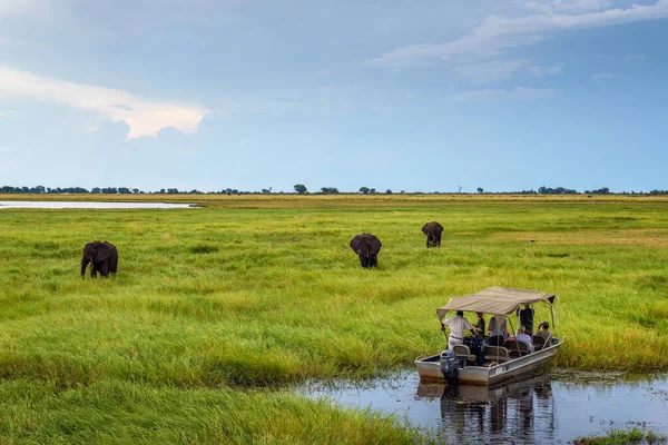 非洲，博茨瓦纳，乔贝河沿岸的游客坐船观摩大象 — 图库照片