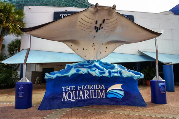 Larga manta ray sculpture at the entrance to the Florida Aquarium in Tampa Bay — Stock Photo, Image