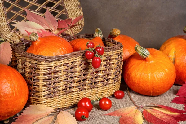 Cesta sobre la mesa con calabazas, tomates y hojas de otoño — Foto de Stock