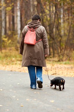Dachshund köpeği olan yetişkin bir kadın sonbahar ormanında yürüyüşe çıkmış..