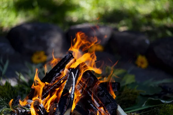 A burning bonpfire on summer day with flowers in it