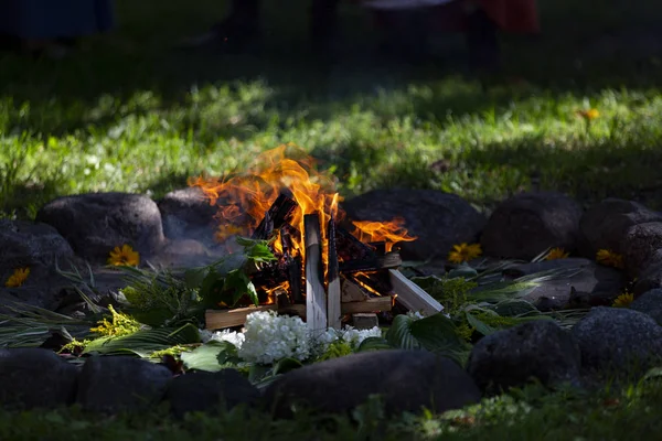 Foc Tabără Aprins Ziua Vară Flori — Fotografie, imagine de stoc