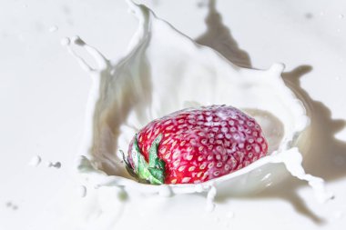 Sulu çilek tadı. Süt sıçraması. Yaz tazeliği. Meyve. Meyve tazeliği. Çilek. Hala hayat. Çilek tadı bir patlama gibidir. Çilek ve krem. Beyaz arka planda kırmızı meyve.