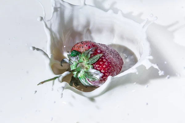 Saftigen Erdbeergeschmack Spritzer Milch Frische Des Sommers Früchte Fruchtfrische Beeren — Stockfoto