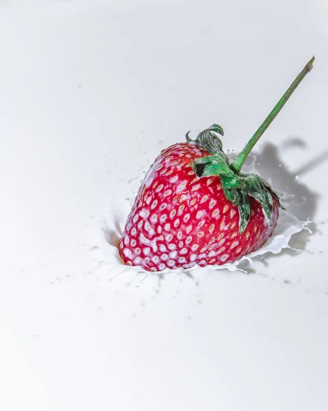 Saftigen Erdbeergeschmack Spritzer Milch Frische Des Sommers Früchte Fruchtfrische Beeren — Stockfoto