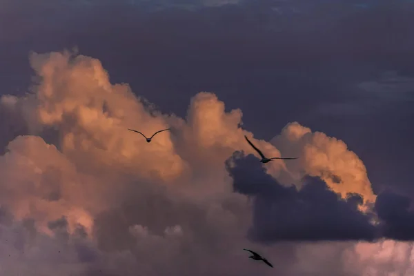 Increíbles Puestas Sol Mar Negro Nubes Sobre Mar Chorrito Agua — Foto de Stock