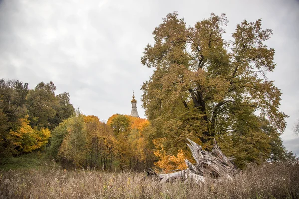 Красивый Осенний Пейзаж Старой Церковью — стоковое фото