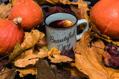Bir kupa sıcak şaraptan, düşen yapraklardan ve balkabaklarından sonbahar esintisi.