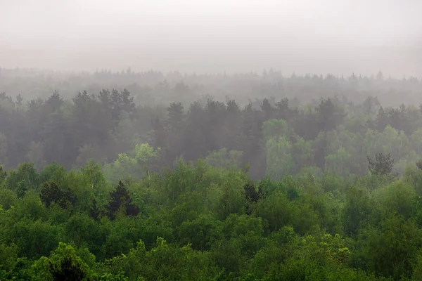 Άποψη Του Δάσους Στην Ομίχλη Από Ύψος Ορίζοντας Μπαίνει Ομίχλη — Φωτογραφία Αρχείου