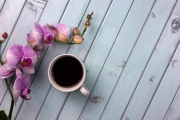 Orchid flowers against a sky-colored wooden tabletop. White Cup of coffee. Coffee and flowers. Still life of flowers on a plank table. Purple flowers.