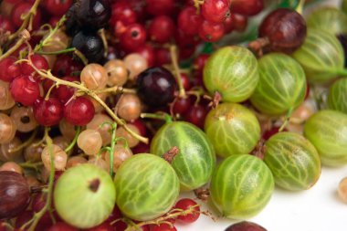 Çeşit çeşit böğürtlenler. Olgun meyveler. Frenk üzümü, siyah, kırmızı ve beyaz. Yeşil ve kırmızı bektaşi üzümü. Yaz meyvesi. Bir sürü vitamin..