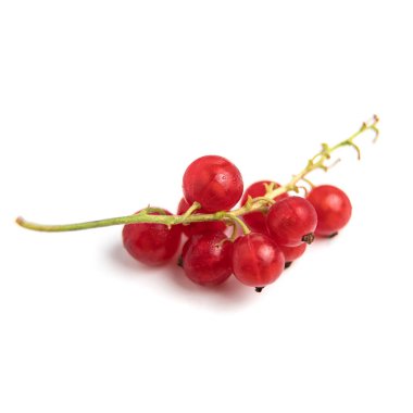 Frenk üzümü izole. Beyaz arka planda frenk üzümü kırmızısı. Dalda frenk üzümü.