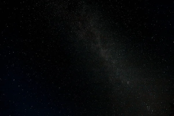Звездное Небо Летний Луг Деревьями Летняя Ночь Млечный Путь Над — стоковое фото