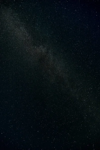 Звездное Небо Летний Луг Деревьями Летняя Ночь Млечный Путь Над — стоковое фото