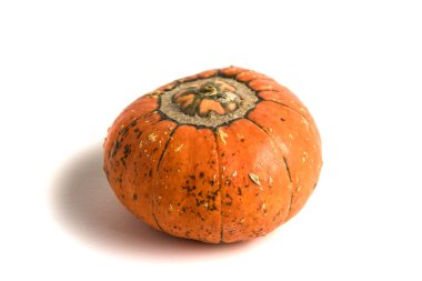 Beyaz arka planda izole edilmiş taze turuncu balkabağı. Küçük dekoratif balkabağı.