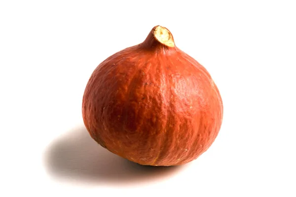 Calabaza Naranja Fresca Aislada Sobre Fondo Blanco Pequeña Calabaza Decorativa — Foto de Stock