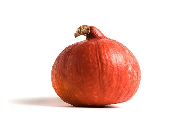 Calabaza Naranja Fresca Aislada Sobre Fondo Blanco Pequeña Calabaza Decorativa — Foto de Stock