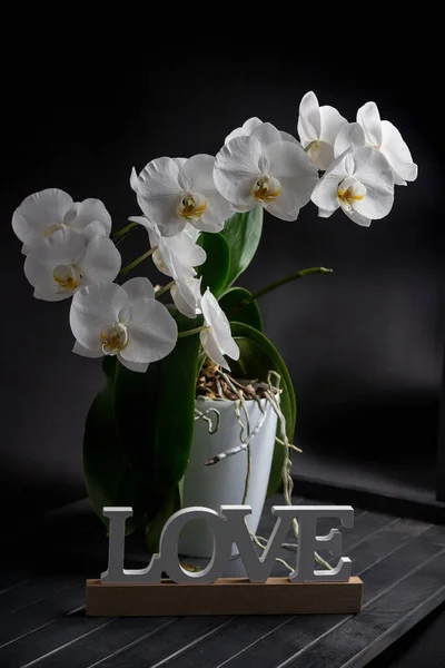Set Tavolo Legno Scuro Orchidea Bianca — Foto Stock