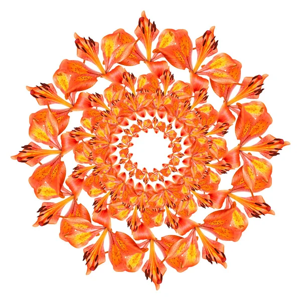 Collage of  beautiful orange lily flowers on a white background. Isolated. Decorative circle. Ornament. Holiday spring card. Floral design. Bouquet