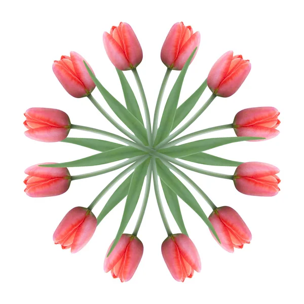 Collage de belles fleurs de tulipes rouges sur fond blanc. Carte printemps vacances. Conception florale . — Photo