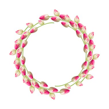 Beyaz bir arka plan üzerinde Pembe güzel lale çiçekleri Kolaj. Tatil bahar kartı. Çiçek tasarımı. Çerçeve