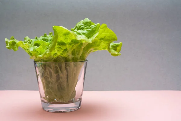 Green fresh salad on gray pink background with empty copy space for a healthy diet. Healthy eating concept.  Closeup. Healthy lifestyle. Royalty Free Stock Images