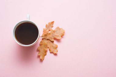Pembe arka planda, bej turuncu sonbahar meşe yapraklı beyaz bir fincan kahve. Üst manzara, düz uzanma