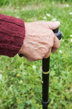 Yaşlı bir kadın parkta doğa üzerinde yürür. Yaşlılıkta sağlığa önem verme düşüncesi