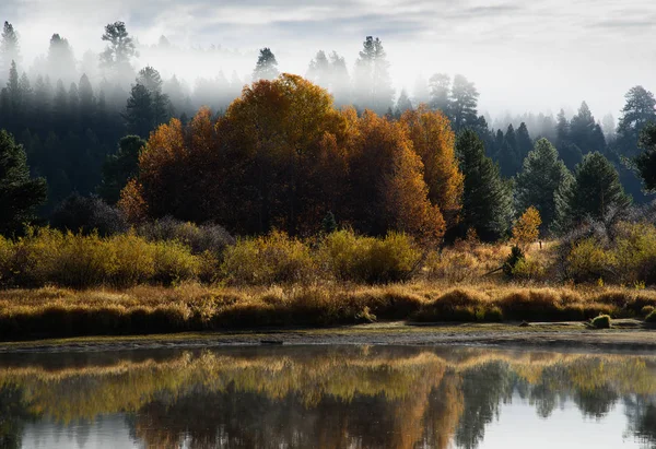 Autumn River — Stock Photo, Image