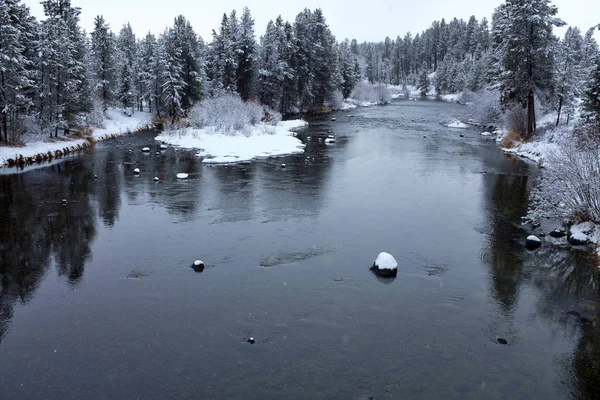 雪に覆われた川と冬の日木 — ストック写真
