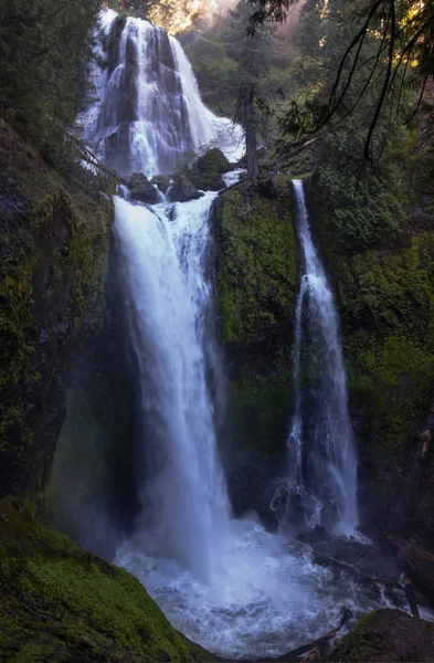 Queda Creek Falls Manhã — Fotografia de Stock