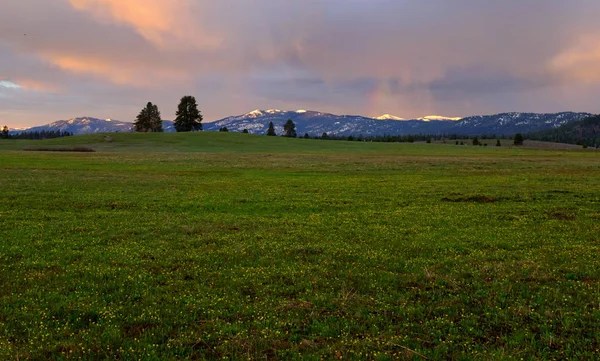 Morning Rain — Stock Photo, Image