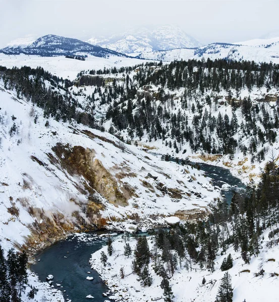 Winteer Het Nationaal Park Yellowstone — Stockfoto