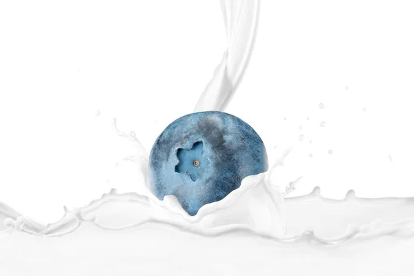 Mjölk Hälla Färska Blåbär Med Stänk — Stockfoto