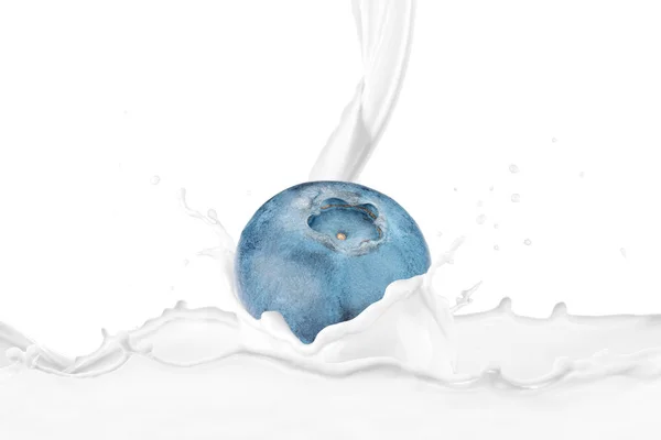 牛奶泼在新鲜的蓝莓与飞溅 — 图库照片