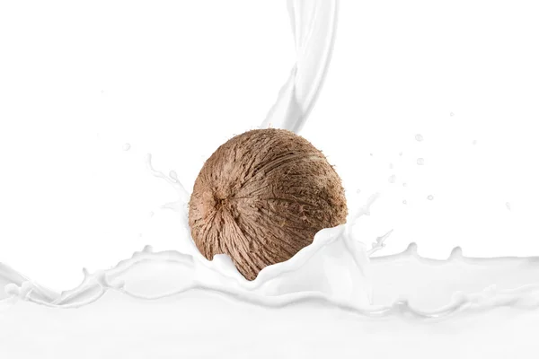 Mjölk Hälla Färsk Kokos Frukt Med Stänk — Stockfoto