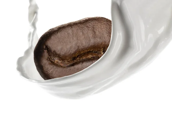 Coffee Bean Milk Splash Isolated White Background — Stock Photo, Image