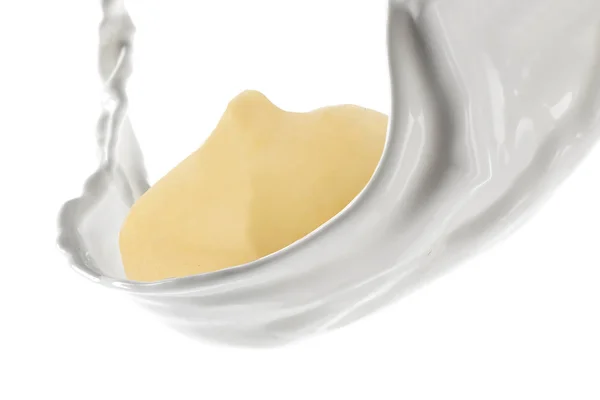 Macadamia Nut Met Melk Splash Geïsoleerd Witte Achtergrond — Stockfoto