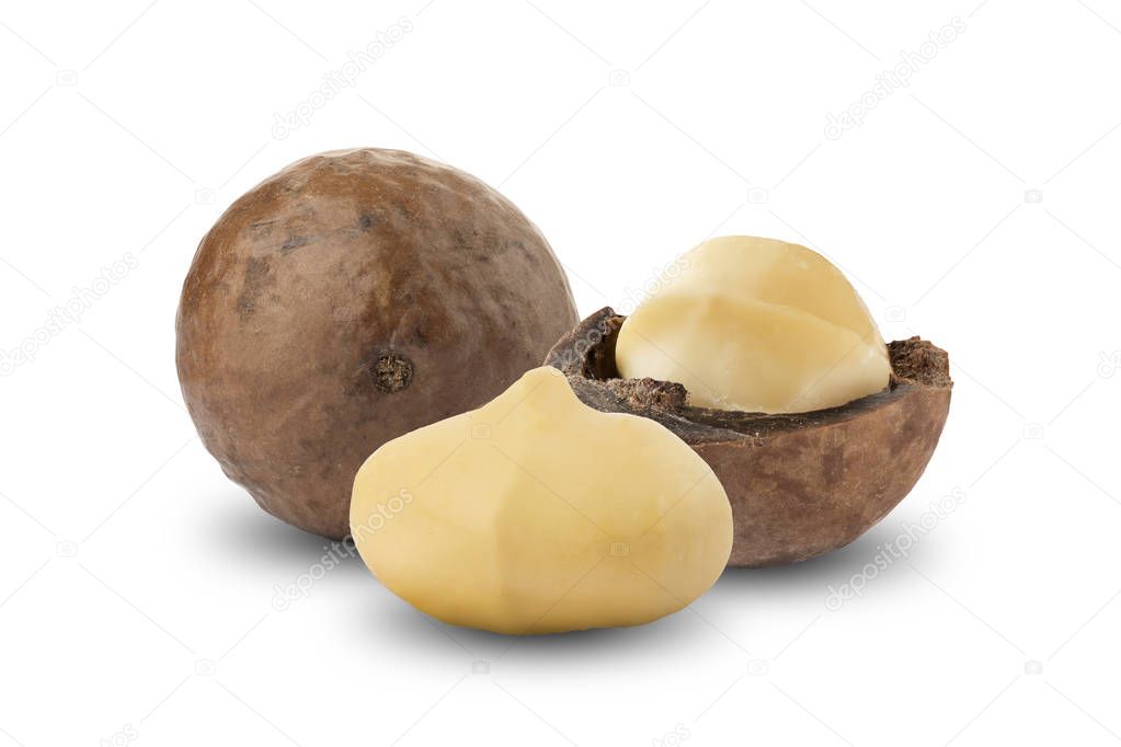 Macadamia Nuts Isolated On White Background