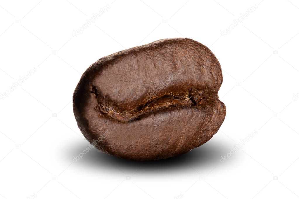 Close Up Of Coffee Bean On White Background