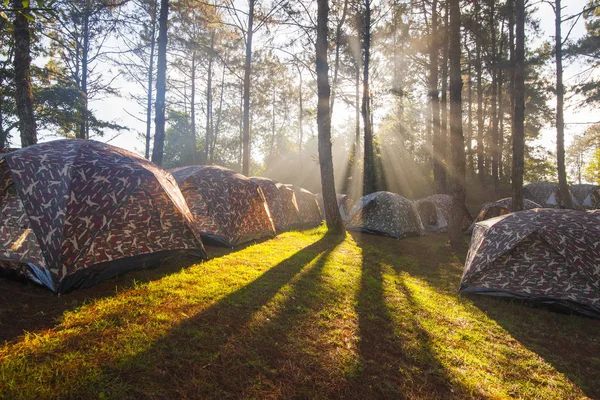 Camping Tents Sun Beams — Stock Photo, Image