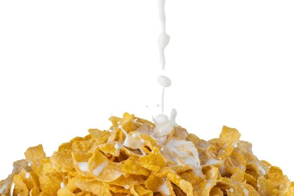 Corn Flakes Dengan Percikan Susu Sebagai Latar Belakang Stok Foto Bebas Royalti