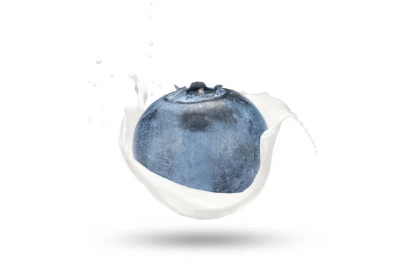 Blueberry Segar Dan Susu Dengan Percikan — Stok Foto