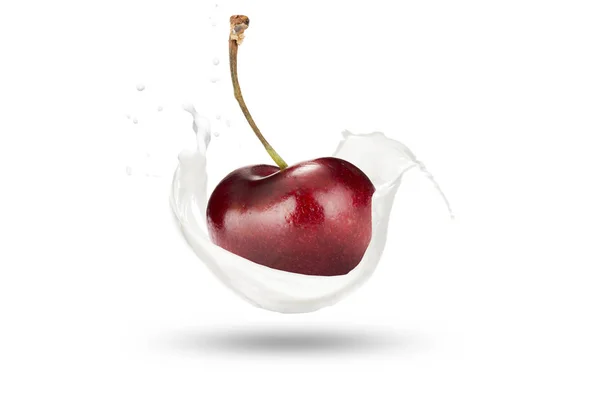 Fresh Cherry Milk Splashes White Background — Stock Photo, Image