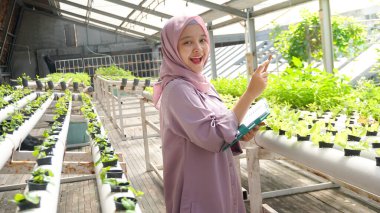 Asyalı kız hidrofonik sebzelerin gelişimini kaydetti