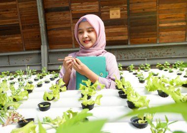 Asyalı kız hidrofonik sebzelerin gelişimini kaydetti