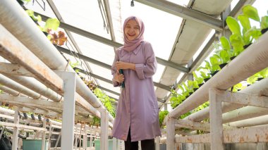 Asyalı kız hidrofonik sebzelerin gelişimini kaydetti