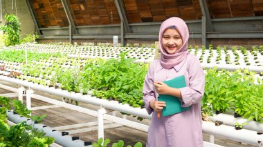 Asyalı kız hidrofonik sebzelerin gelişimini kaydetti