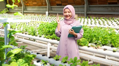 Asyalı kız hidrofonik sebzelerin gelişimini kaydetti
