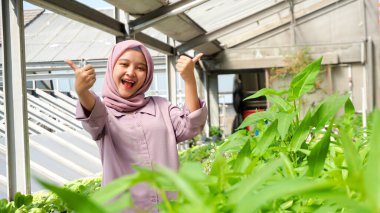 Hidrofonik sebze bahçesinde mutlu Asyalı kızlar